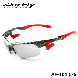 yK̔XzGAtC AF-101 C-6 X|[cTOX Y/~XgO[ t[/J[{X^C OJbg y WSXybN ZYGOSPEC AirFly 10p