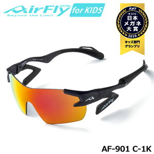 yWjAzyK̔XzGAtC AF-901 C-1K qpX|[cTOX Y/p[vS[h~[ t[/ubN}bg LbY OJbg y WSXybN ZYGOSPEC AirFly 10