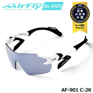 yWjAzyK̔XzGAtC AF-901 C-2K qpX|[cTOX Y/CgX[N t[/zCg}bg LbY OJbg y WSXybN ZYGOSPEC AirFly 10p