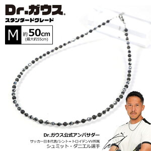 Dr.KEXyX^_[hO[hzMTCY 50cm(AWX^[ōő55cm) ClbNX {fBAWXgg lbNX Y fB[X jp ő厥x160mT Ë@ 