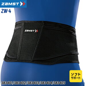 UXg ZW-4 p T|[^[ \tgT|[g jp ZAMST