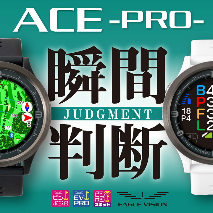楽天市場】【正規販売店】EAGLE VISION イーグルビジョン ACE PRO 