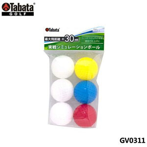 ^o^ GV0311 \tg{[ g[jO{[ GV-0311 Tabata