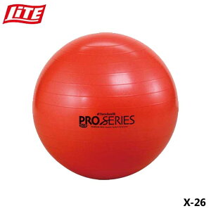 Cg X-26 GNTTCY{[ SDS-55 bh g[jO ؃g Stpi LITE