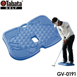 ^o^ GV0191 cpbeBOfBXN p^[K K GV-0191 Tabata Fujita Putting Disc