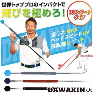 Lynx NX St _؃XeBbN X^_[h^Cv XCOK X^_[h _L DAWAKIN STICK STANDARD