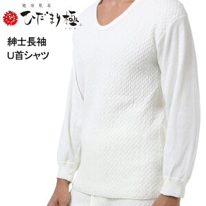 Ђ܂  amUVc hCi[ Y j  R L  