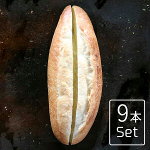 �K�[���b�N�t�����X 9�{�Z�b�g�y��16cm �Ⓚ �q���ɂ��������� �O�J���J������������ ���I�k�C���o�^�[�g�p �K�[���b�N�t�����X�p���z