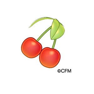 ACvo[X V6-187 ~NR[fANZ 3