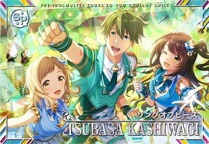 ACh}X^[cA[Y IMT-01-083 ؗ SSR