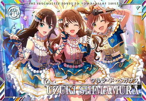 ACh}X^[cA[Y IMT-02-001  K SSR