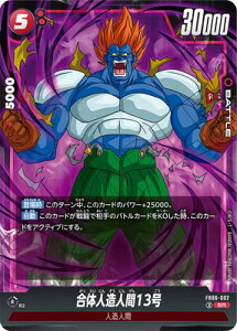 t[W[h FB06-002 ̐ll13 SR