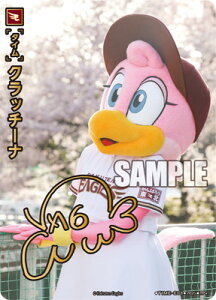 �h���[���I�[�_�[ �yTBP01-E�zTIME-E08 �N���b�`�[�i TP+
