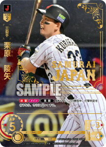 h[I[_[ ySJSPzPB01-SJ21 I@˖