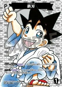 TRiTCG ypzB06044P Sn CP [ID:P061]