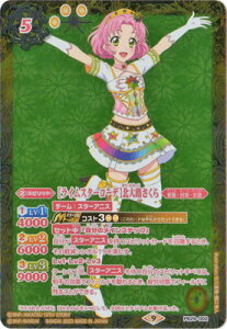 ogXsbc yvozPB29-002 mCX^[R[fnkH