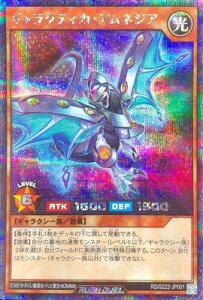 �V�Y�����b�V���f���G�� RD S222-JP001 �M�����N�e�B�J�E�A���l�W�A�y�V�[�N���b�g���A�z