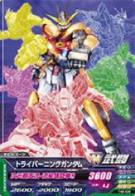 楽天市場 トライエイジ トライバーニングの通販