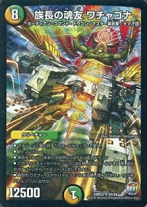 fG}X^[Y DMR-22/S5/SR/̍F `Si//R/N[`[ uvt@Ci 2 E0!! ubNAEg!!v