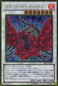 �V�Y�� ��8�� GS05-JP009�@�u���b�N�E���[�Y�E�h���S���y�S�[���h���A�z