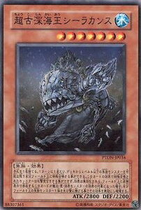 �V�Y�� ��5�� 7�e PTDN-JP034�@���Ð[�C���V�[���J���X