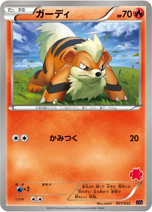 楽天市場 ポケモンカードゲーム Pk Xye 001 ガーディ 対戦スタートセット30 エンブオーex Vs トゲキッスex フルアヘッド
