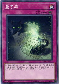 遊戯王 第10期 SD32-JP037　量子猫