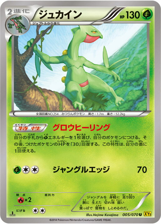 楽天市場 ポケモンカードゲーム ガイアボルケーノ Pk Xy5 005 ジュカイン U ガイアボルケーノ フルアヘッド 楽天市場 ポケモンカードゲーム ガイアボルケーノ Pk Xy5 005 ジュカイン U ガイアボルケーノ フルアヘッド