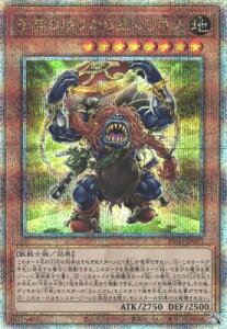 VY 12/05e/INFO-JP001 N̖肩o߂lyNH[^[Z`[V[NbgAz