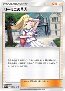 �|�P�����J�[�h�Q�[�� PK-SM11b-049 ���[���G�̑S�� U