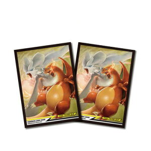 |PJ[hQ[ fbLV[h V&U[h TAG TEAM GX i64j