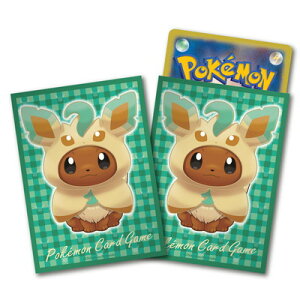 |PJ[hQ[ fbLV[h |`𒅂C[uC [tBA