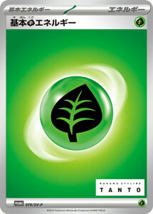 |PJ[hQ[ PK-SV-P-079 {GlM[