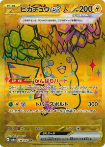 |PJ[hQ[ PK-SV8a-236 sJ`Eex UR