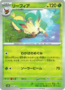 |PJ[hQ[ yLzy}X^[{[zPK-SV8a-002 [tBA