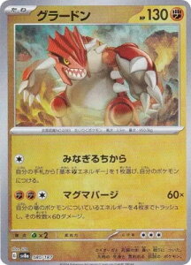 |PJ[hQ[ yLzy}X^[{[zPK-SV8a-080 O[h