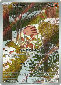 �|�P�����J�[�h�Q�[�� PK-SV9-106 �E�����[ AR