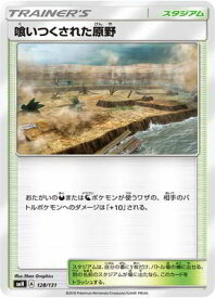 楽天市場 原野の通販 楽天市場 原野の通販