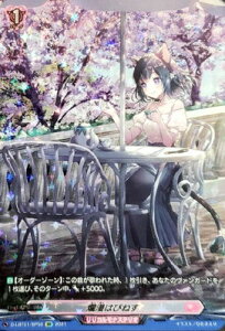 �J�[�h�t�@�C�g!! ���@���K�[�h D-LBT01/SP50�@ࣖ��͂҂˂��@SP