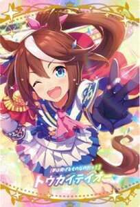 W2-21 m͌f̂Ȃ̂IngEJCeCI[ E} veB[_[r[ cCEGn[X2R