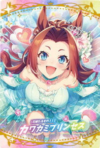 W2-23 mԉł́IInJJ~vZX E} veB[_[r[ cCEGn[X2R