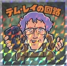 テムレイ テムレイ