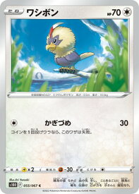 ポケモンカードゲーム PK-S10D-055 ワシボン C