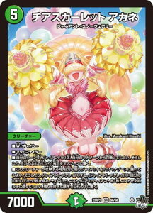 fG}X^[Y DM23-RP1 S8 SR `AXJ[bg AJl