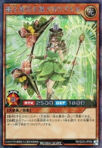 �V�Y�����b�V���f���G�� RD S223-JP005 �ɏ���i�V�g�A�K���u�G���y�V�[�N���b�g���A�z