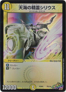 fG}X^[Y PCD01 V2 SR VC̐VEX