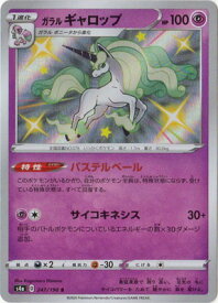 楽天市場 ポケモン ギャロップの通販