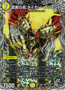 fG}X^[Y DM22-RP2 TR9 VR ^̖ ^CK[EWFhygW[z