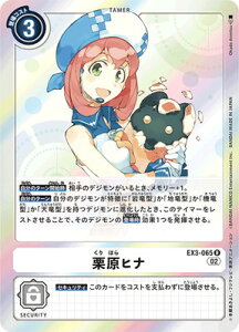 fWJ[hQ[ EX3-065 Iqi R