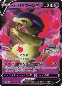 |PJ[hQ[ PK-S-P-308 qXC oNt[V